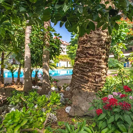 Coral Teide Mar Aparthotel